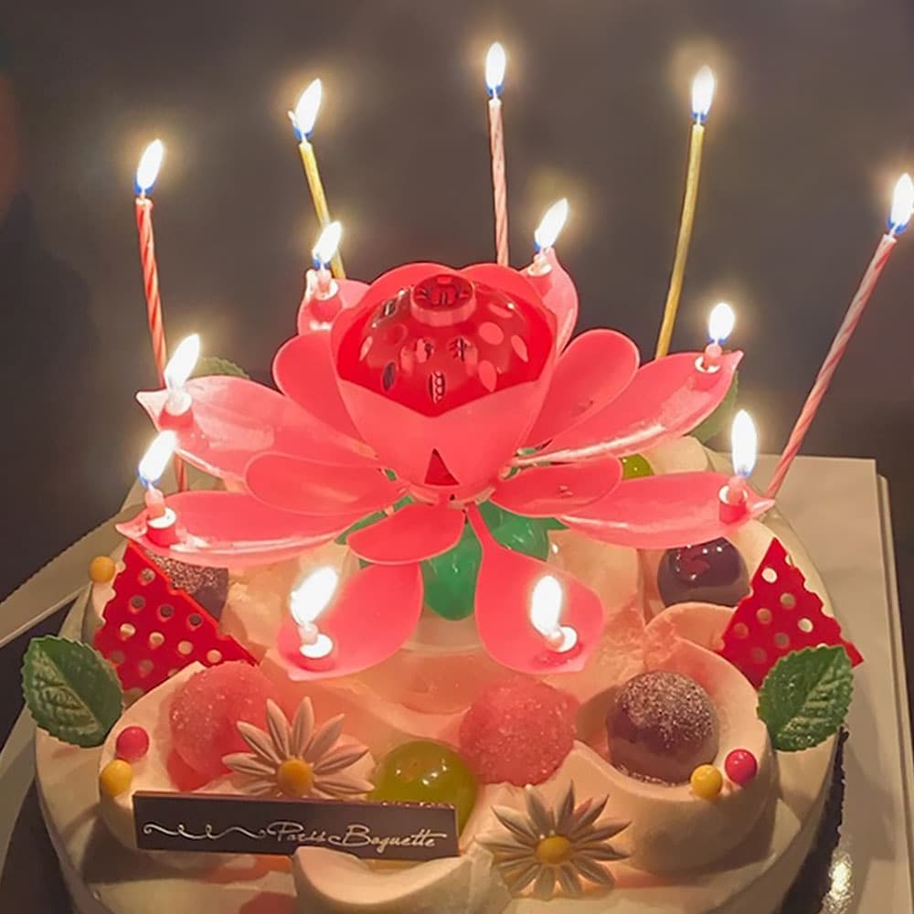스토리빙 스토리빙 생일축하 회전 멜로디 케이크 생일초 연꽃초 - 최저가 920원