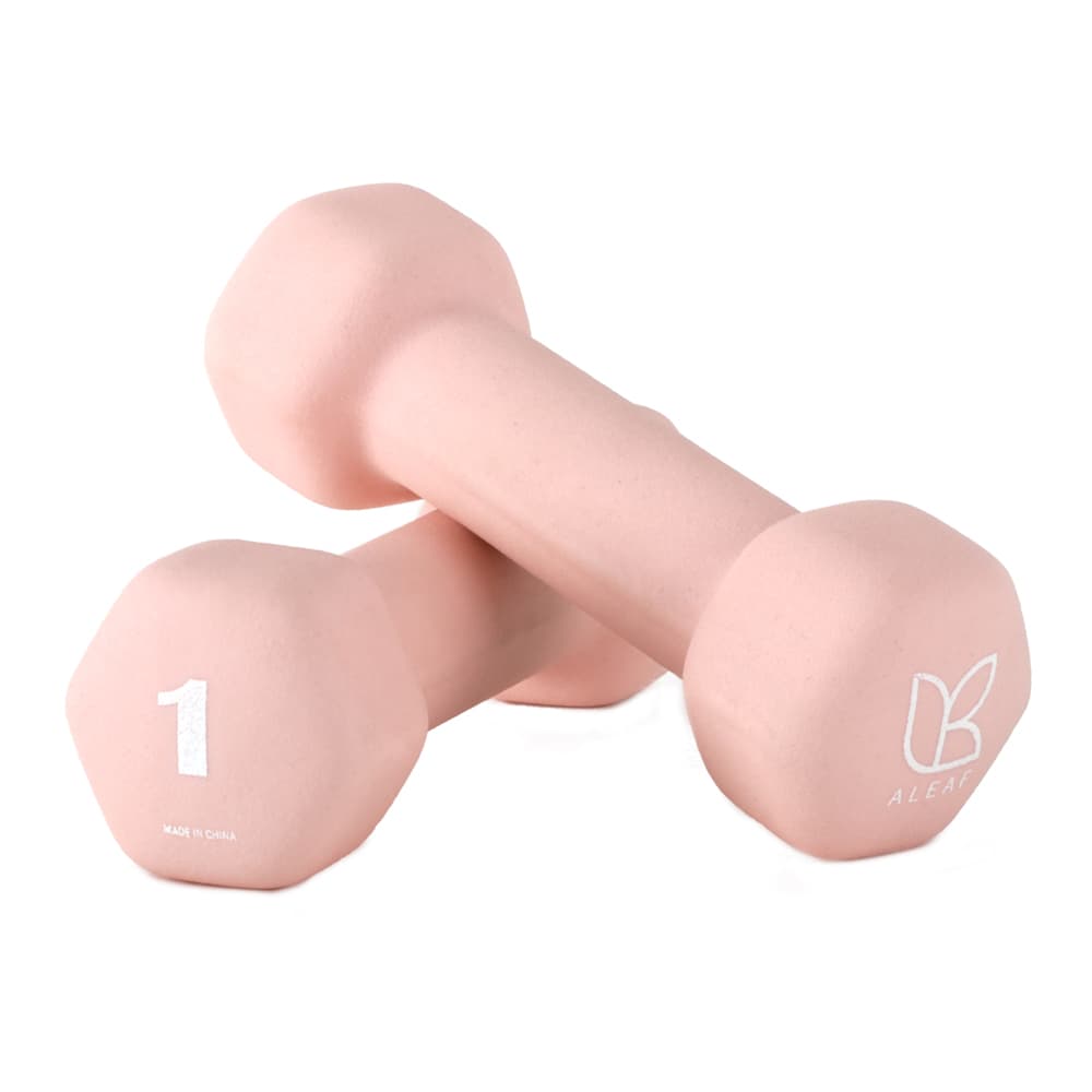 아리프 스포츠 아리프 선인장 미용 아령 여자 덤벨 1kg 2개 큐피드 핑크