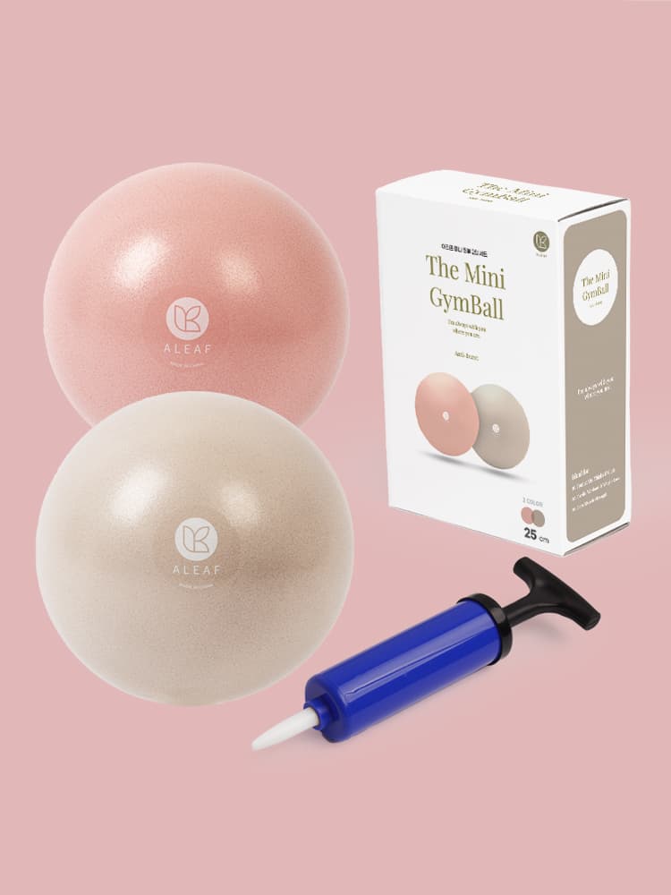 아리프 스포츠 아리프 안티버스트 미니 짐볼 25cm 2개 - 최저가 8,900원