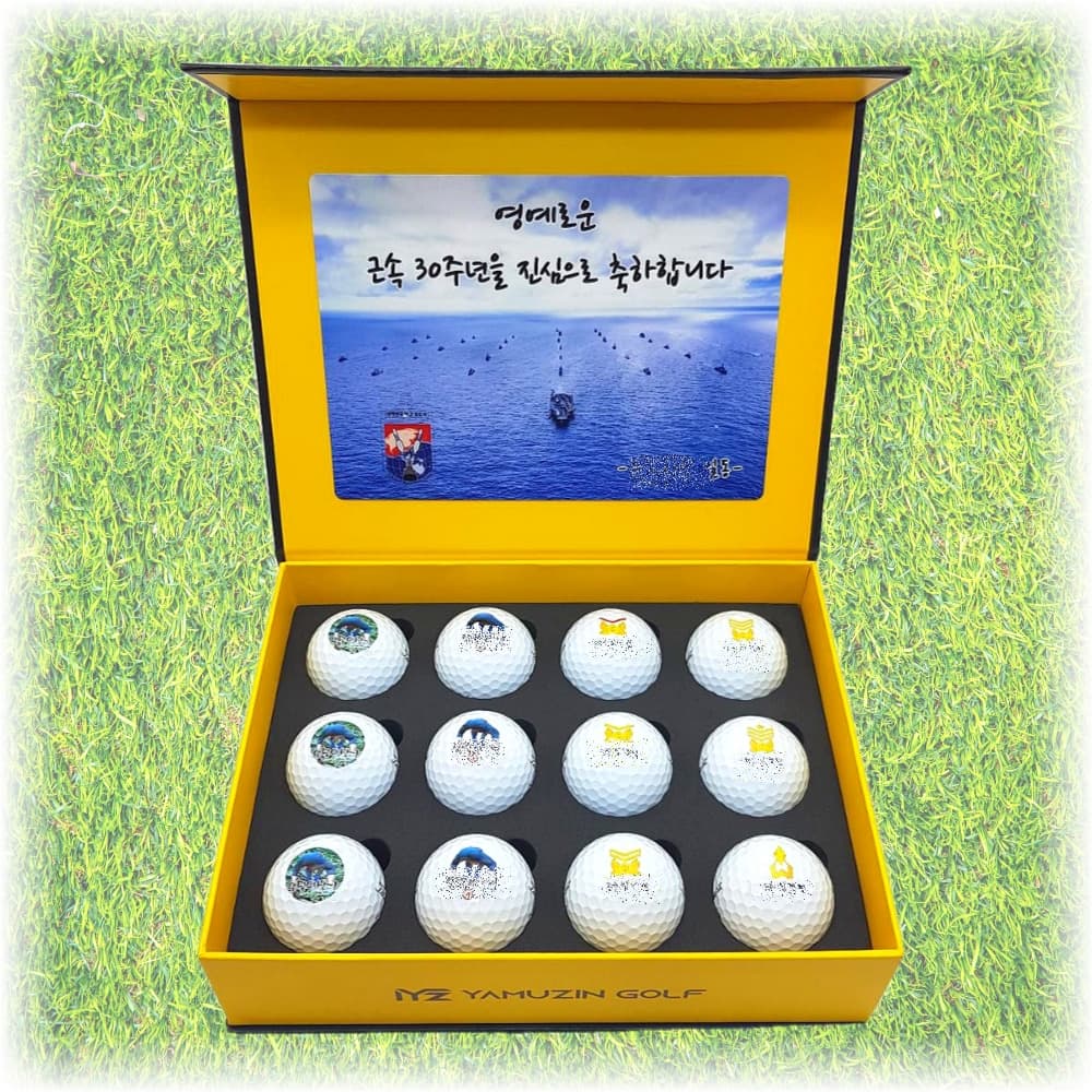 야무진골프 타이틀리스트 PRO V1 커스텀 골프공 12구 선물 세트 - 최저가 150,000원