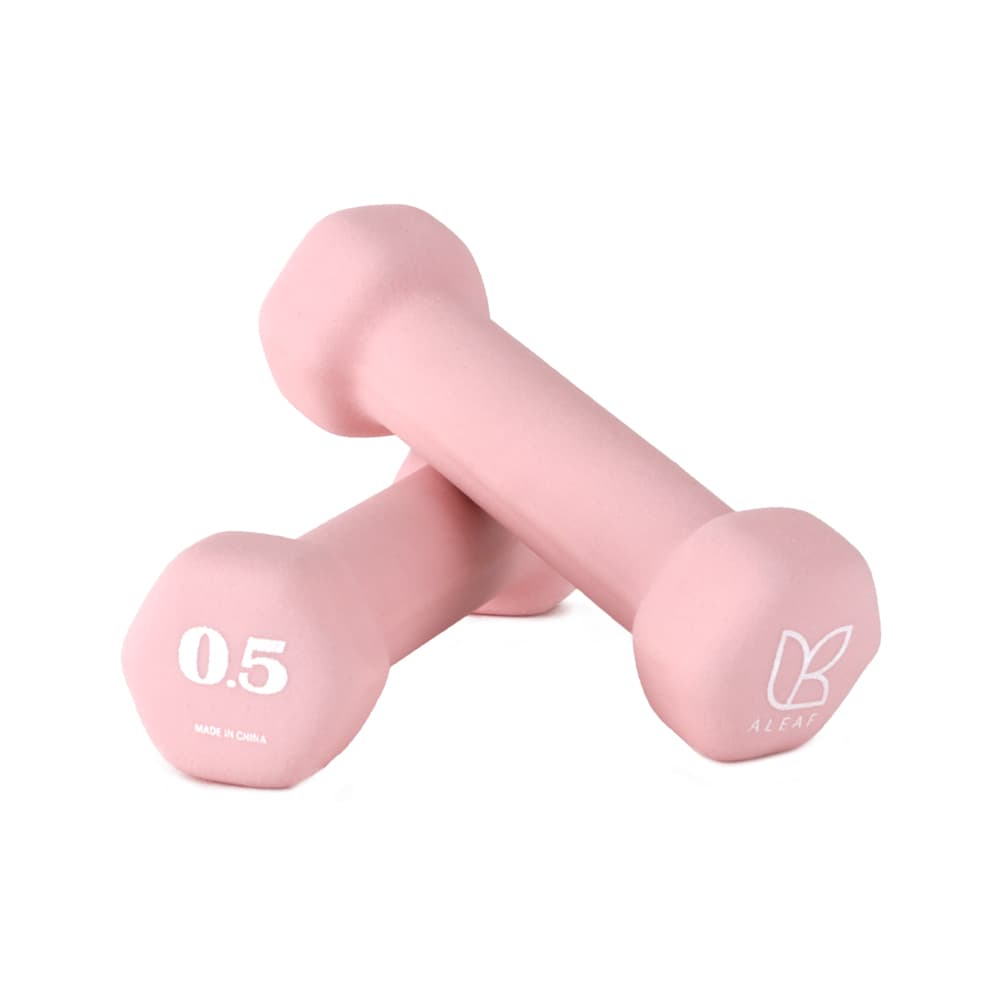 아리프 스포츠 아리프 선인장 미용 아령 여자 홈트 덤벨 0.5kg 2개 버블 핑크 - 최저가 4,400원