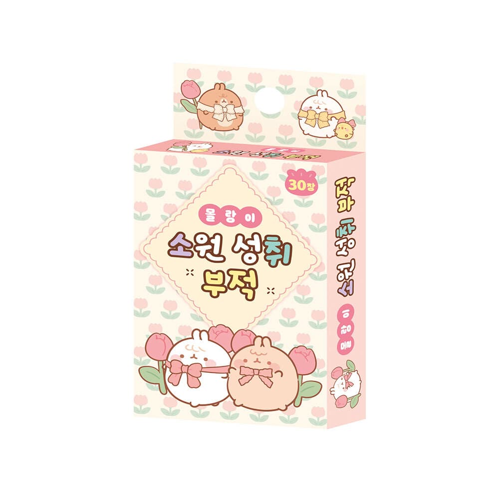 대원씨아이 [대원키즈] 몰랑 소원 성취 부적