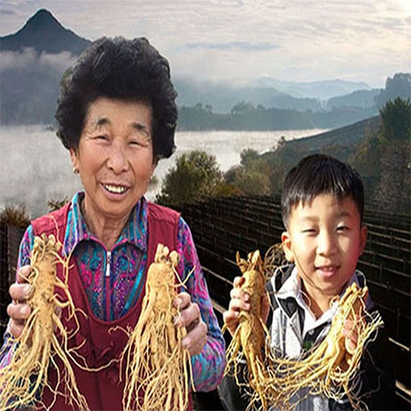 참인삼 금산 참 인삼 수삼 난발삼 500g 세척 진공포장