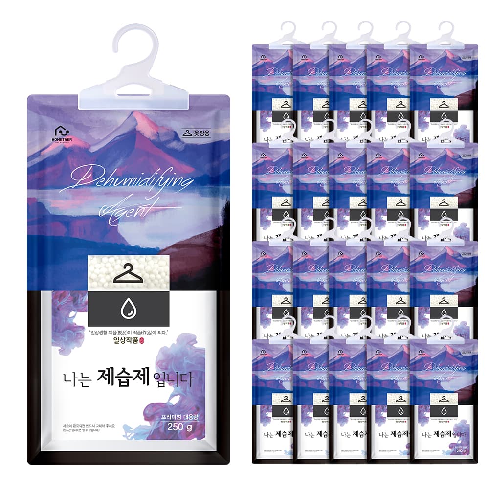 홈트너 홈트너 제습제 옷장제습제 250g, 20개