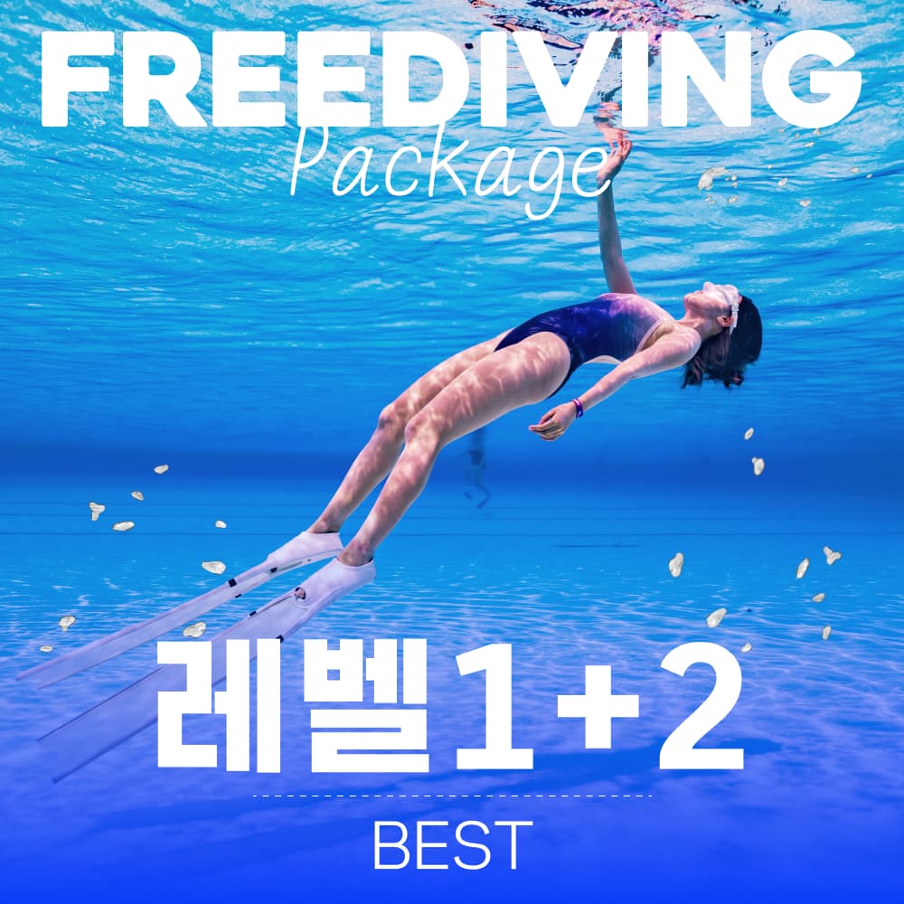 88다이빙 프리다이빙 강습 입문 초급 패키지 AIDA PADI 레벨 1+2 자격증