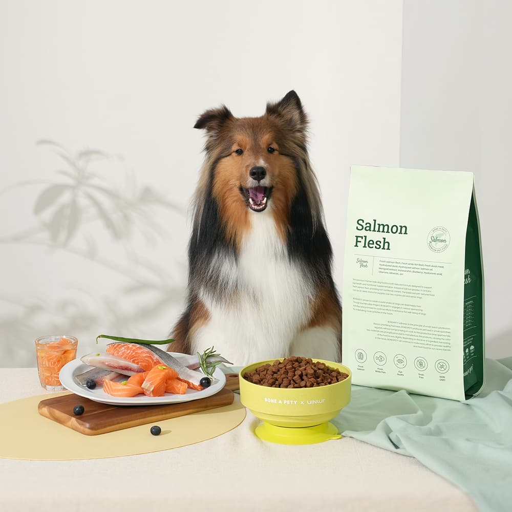 본아페티 본아페티 플러스 프리미엄 기능성 수제사료 눈+눈물 1kg
