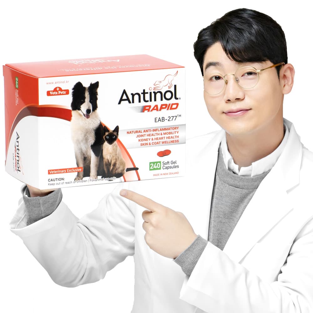 안티놀 코리아 안티놀 래피드 강아지 고양이 관절 영양제 240캡슐