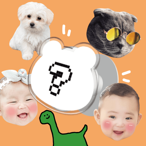 플랫레이 강아지 아기얼굴 그립톡 제작 탈부착 아크릴 스마트톡 투명 1개
