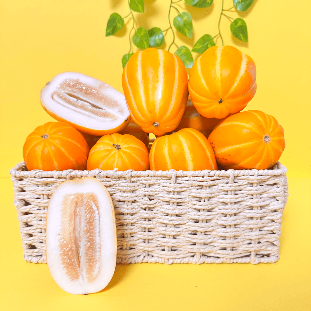과일부티크 성주 꿀 참외 고당도 제철과일 산지직송 특품