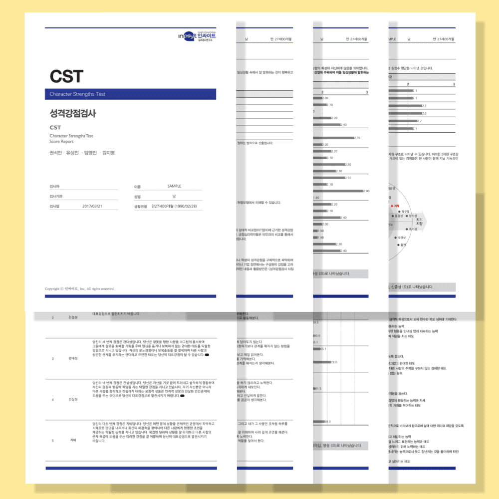 위드인사이트 심리검사 CST 강점 검사 온라인 심리검사 - 최저가 17,200원