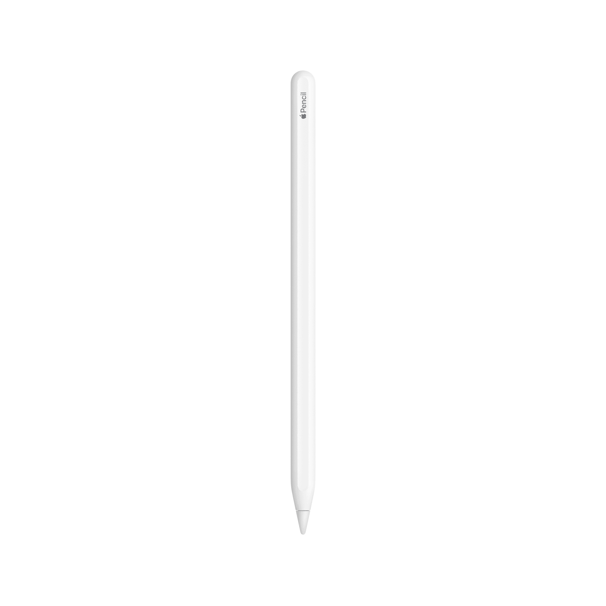 애플 공식 브랜드스토어 Apple Pencil 애플펜슬 2세대 - 최저가 191,100원