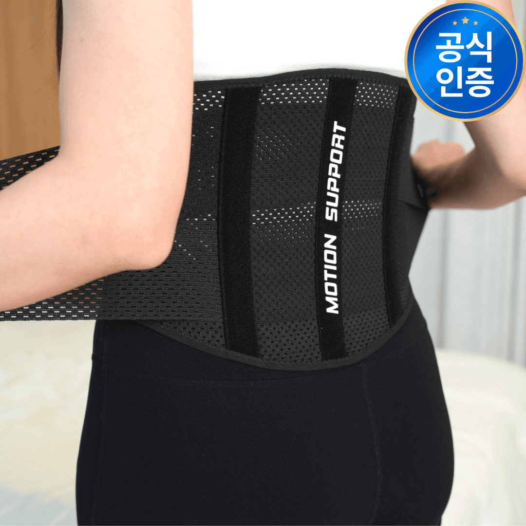 체크인바디 허리보호대 허리복대 밴드 리프팅 복압 벨트 척추 요추 지지대 - 최저가 29,800원