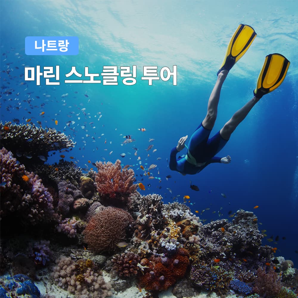 여행하기 좋은날 나트랑 마린 스노클링 투어 한국인가이드 호핑투어 - 최저가 49,900원