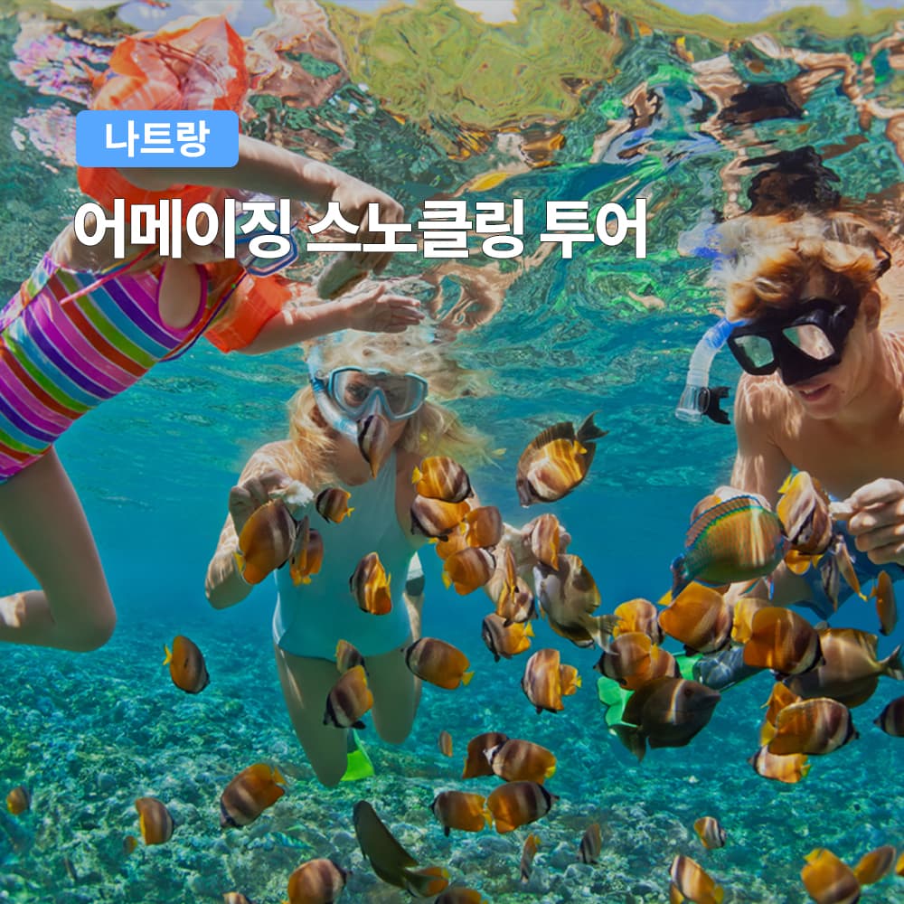 여행하기 좋은날 나트랑 호핑투어 어메이징 스노클링 3섬투어 픽업 샌딩 포함 - 최저가 23,000원