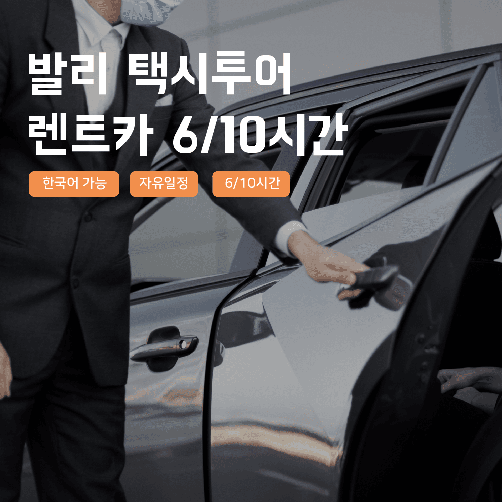 사마사마 발리 발리 택시투어 프라이빗 맞춤투어 남부 동부 우붓 렌트카 한국어가이드 - 최저가 69,000원