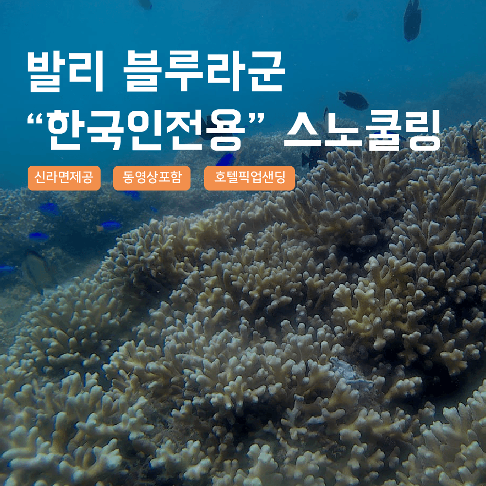 사마사마 발리 발리 블루라군 스노쿨링 고프로 촬영 픽업드랍 해양 수상 액티비티 체험