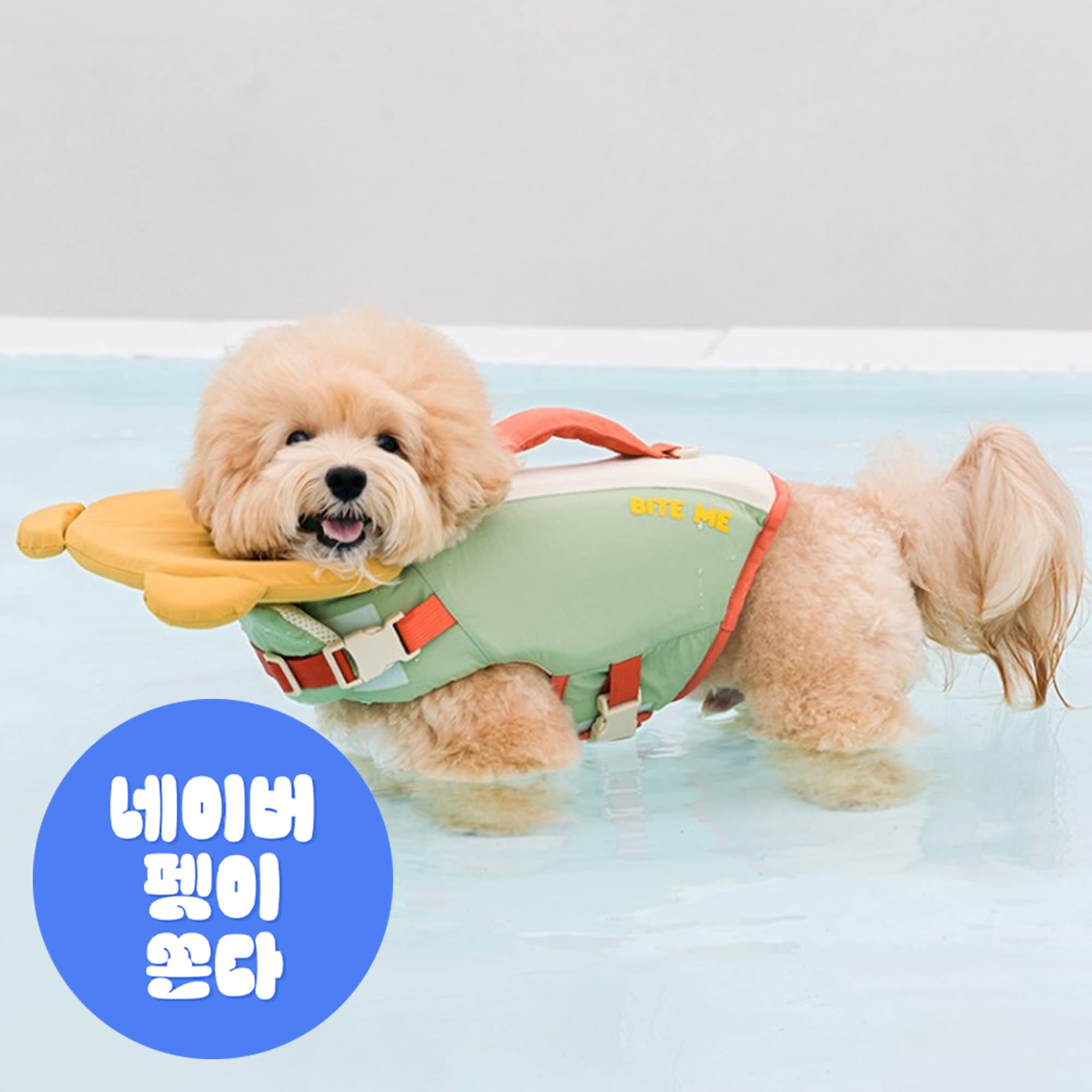 바잇미 Inc. 강아지구명조끼 애견 수영복 래쉬가드 소형견 - 최저가 35,900원