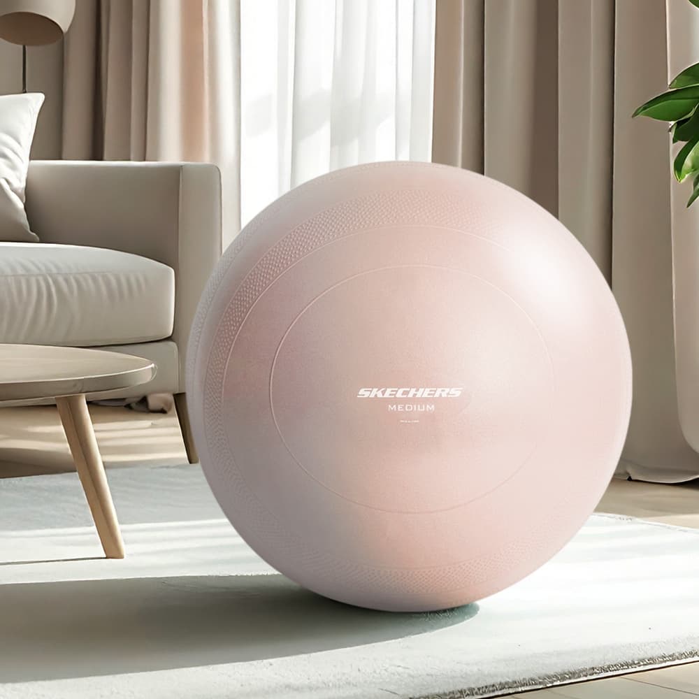 스케쳐스피트니스 스케쳐스 짐볼 안티버스트 65cm 소프트피치 - 최저가 20,900원
