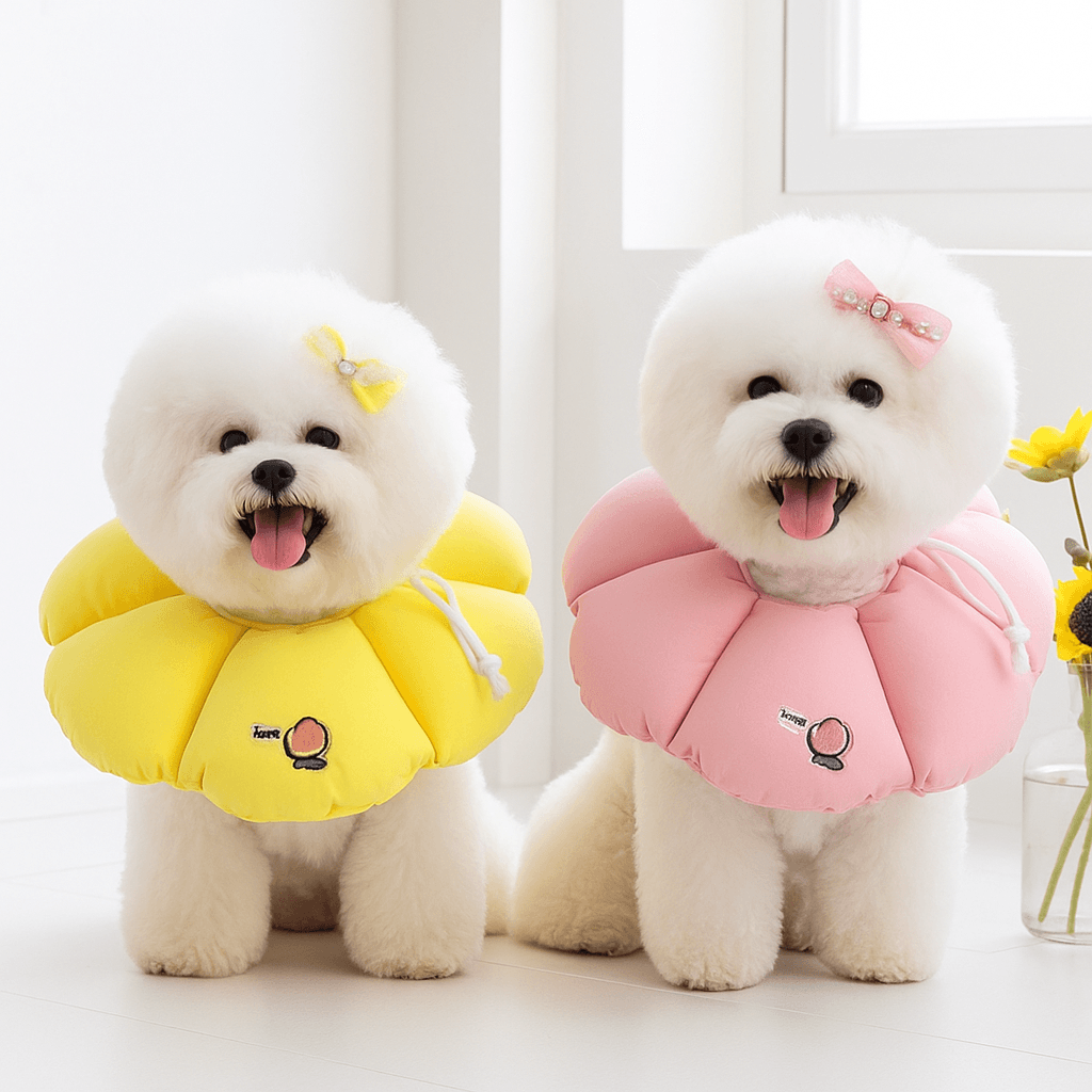 리치독스 리치독스 강아지 넥카라 애견 고양이 깔대기 중성화 자수방수 S - 최저가 9,000원