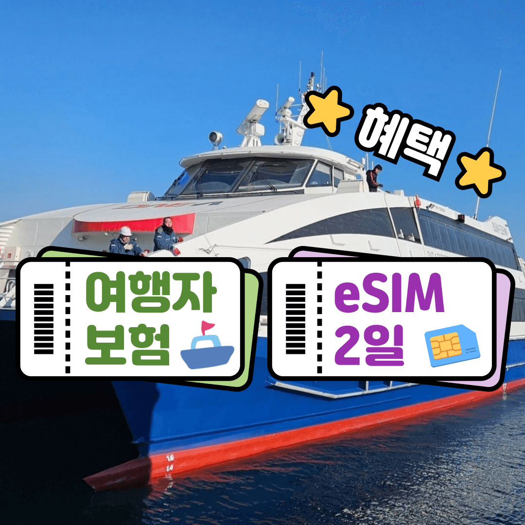 즐거운 여행 대마도 배편 예약 당일치기 1박2일 자유여행 히타카츠 이즈하라 승선권 씨플라워호