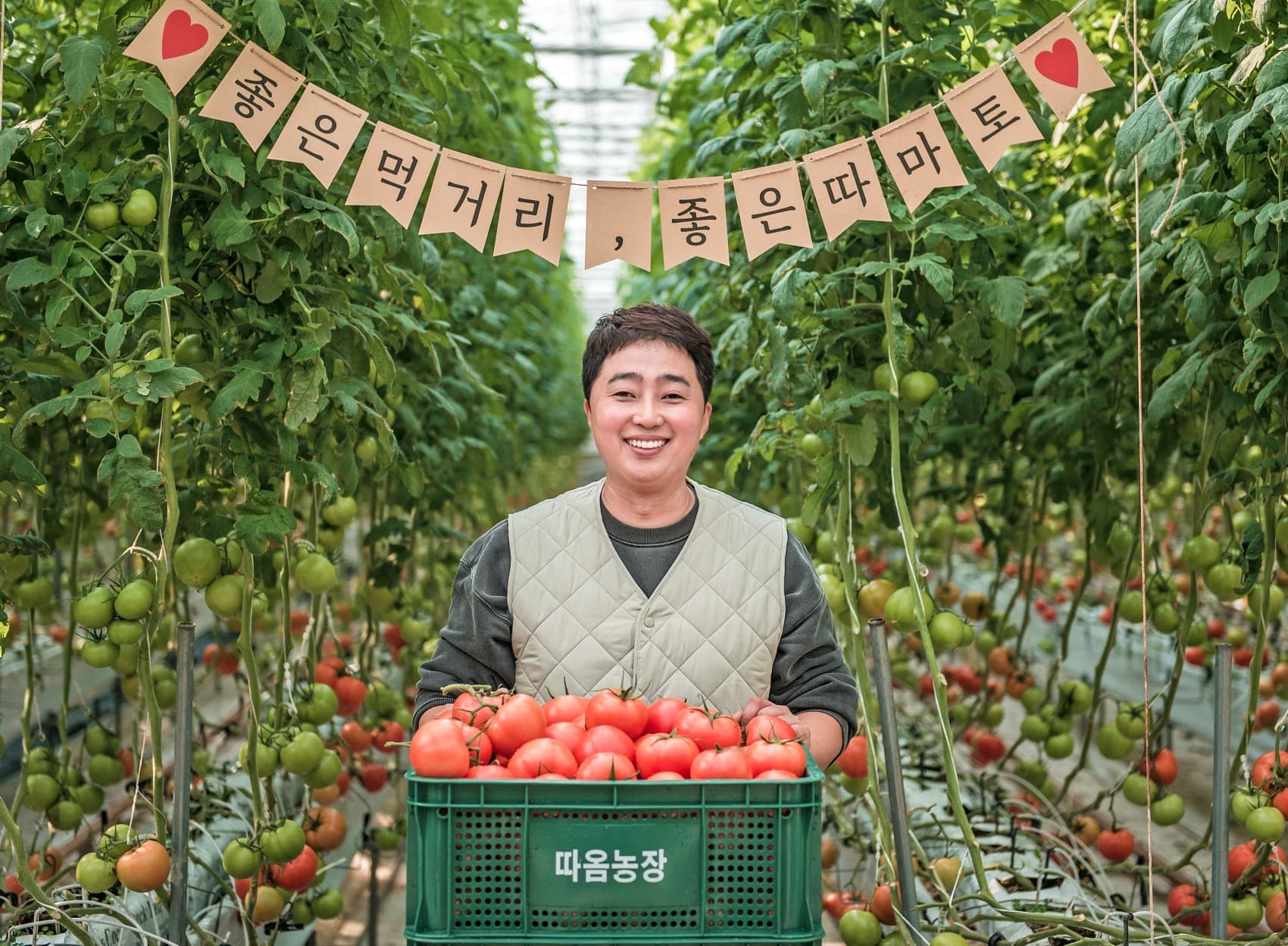 따옴농장 완숙토마토 찰토마토 유럽종 2.5kg 산지직송