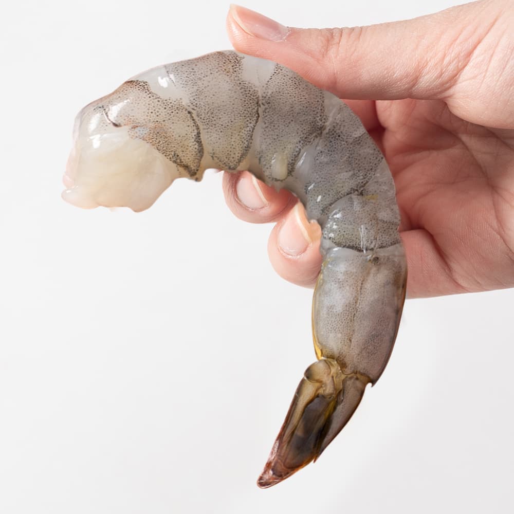대한민국농수산 국내산 새우 칵테일새우 손질 깐새우 500g 냉동 - 최저가 19,900원