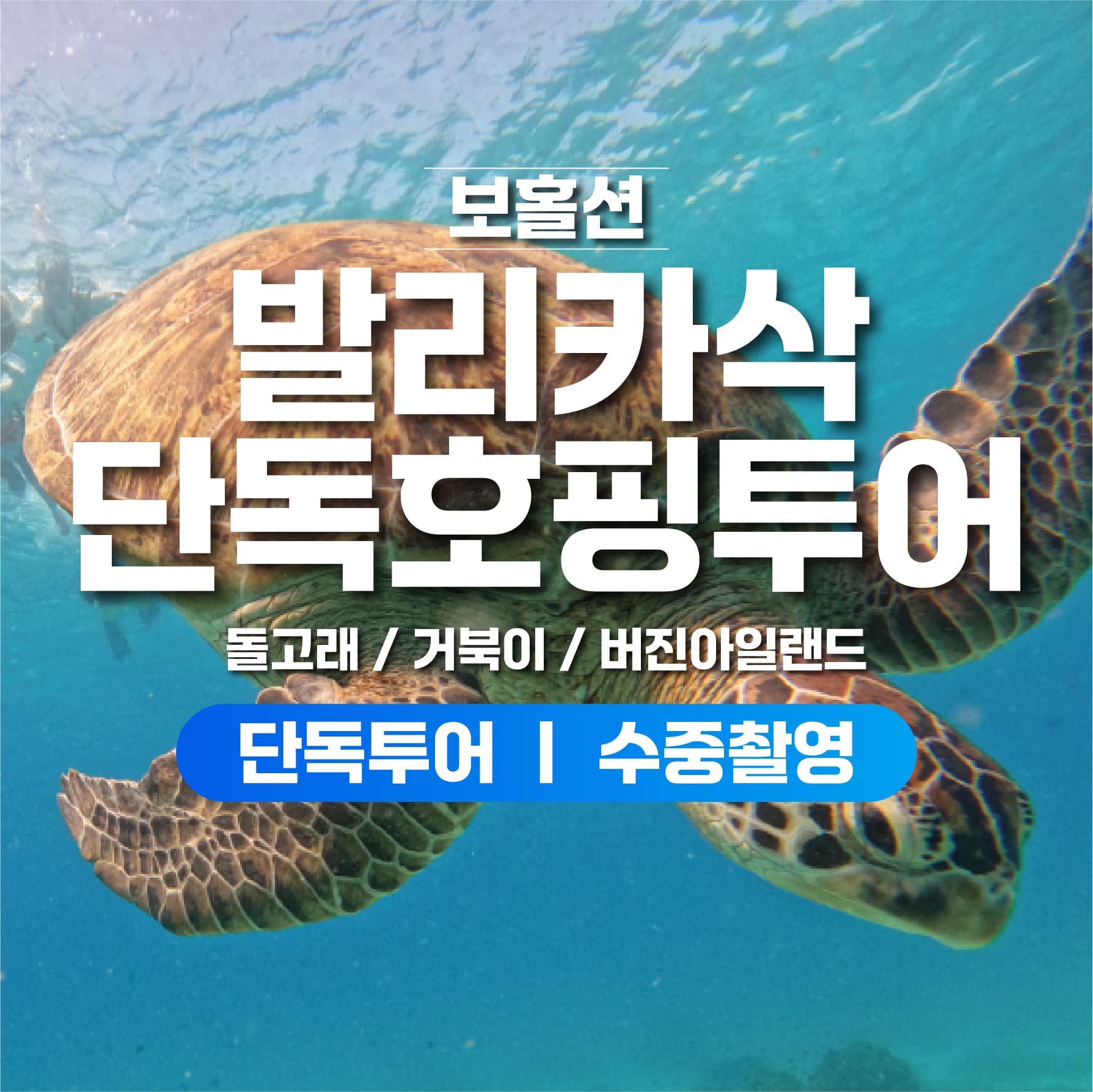 보라카이션 보홀 호핑투어 프라이빗투어 발리카삭 거북이 돌고래 스노클링 버진아일랜드 수중촬영
