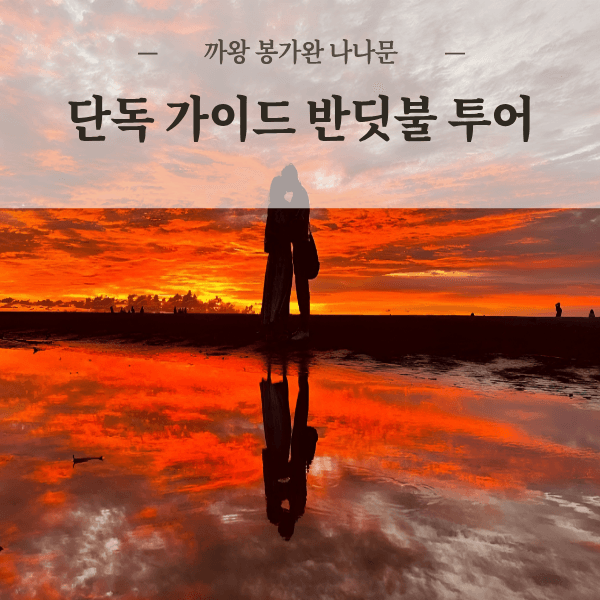 리보투어 코타키나발루 반딧불투어 프라이빗 가이드 차량 선셋 맹그로브 까왕 봉가완 나나문 - 최저가 55,000원
