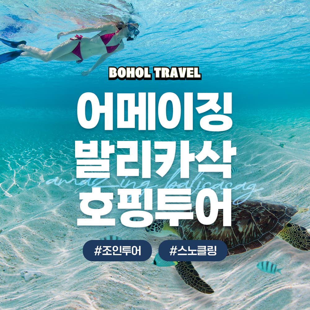 두잇트래블 보홀 여행 호핑투어 발리카삭 버진아일랜드 돌고래 거북이 투어