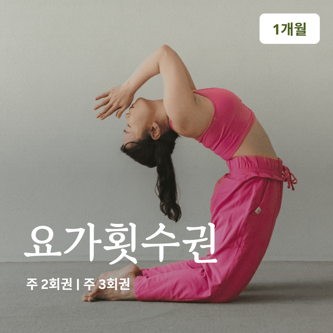온라인요가온 온라인요가온 - YOGAON 횟수제 1개월 수강권