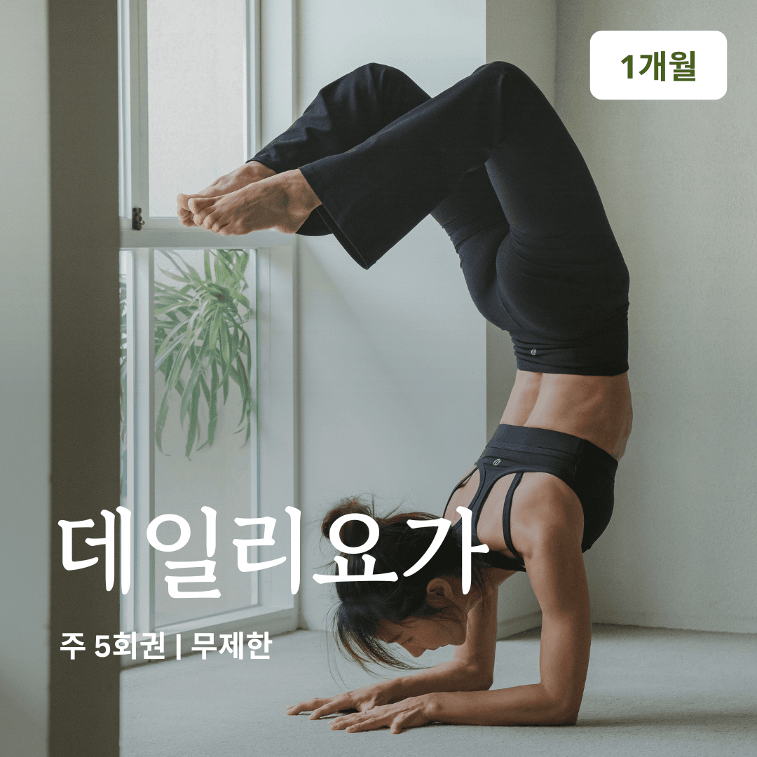 온라인요가온 YOGAON 데일리요가 1개월 수강권 - 최저가 83,250원