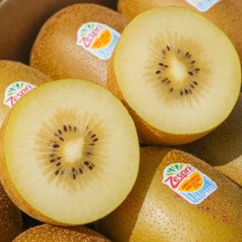 과일통통배 제스프리 골드키위 슈퍼점보 1.7kg 2.3kg