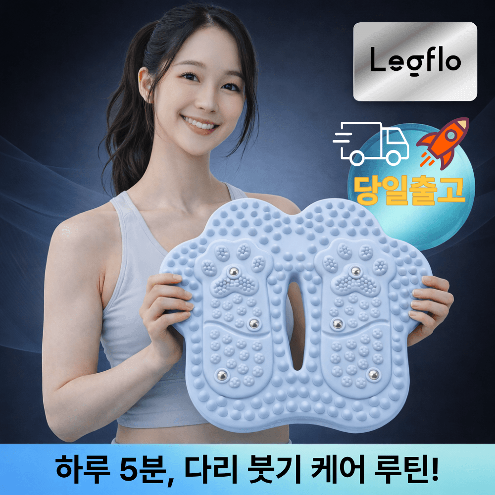 레그플로 발지압 스텝퍼 바운스 에어번 스텝퍼 가정용 블루