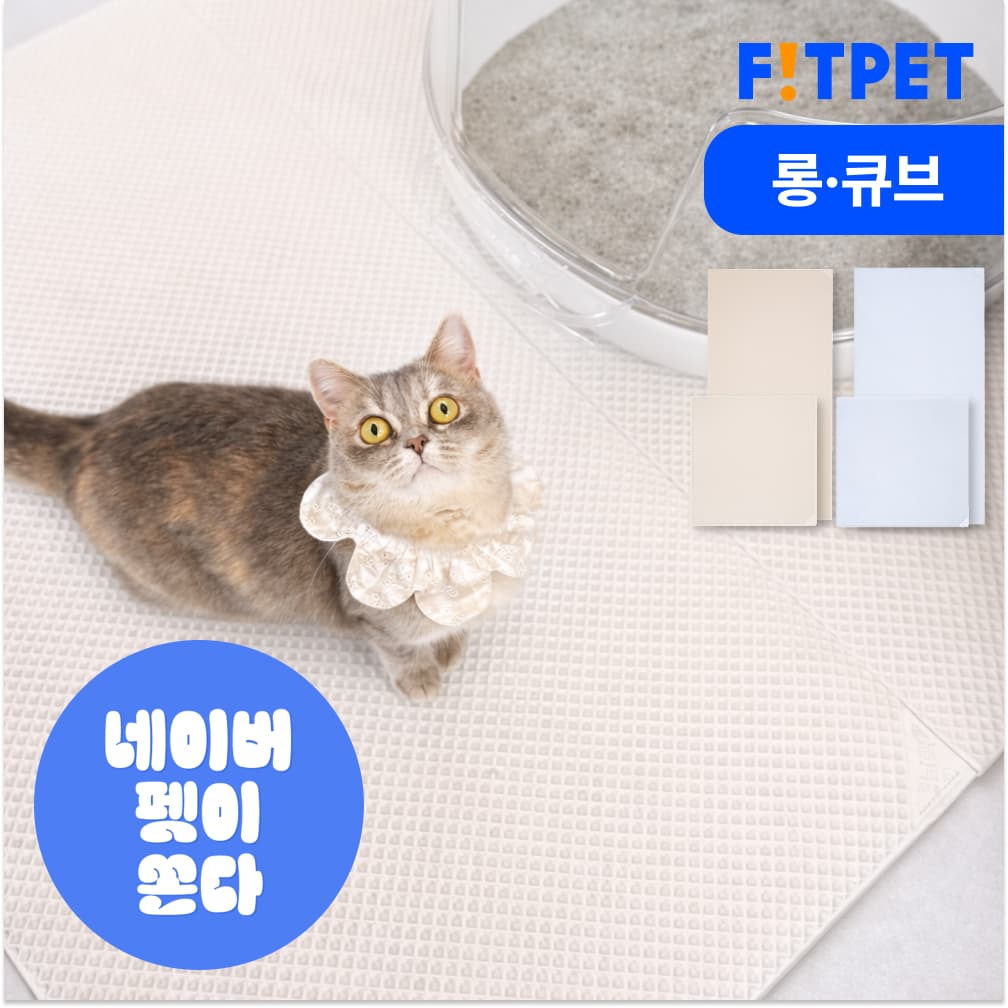 핏펫 냥쌤 고양이 모래 매트 캐치 투명 사막화방지 화장실 발판 패드 대형