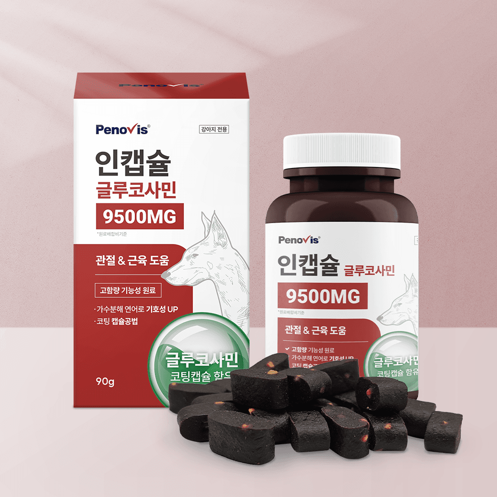 페노비스 강아지 관절 영양제 페노비스 슬개골 관절강화 관절염 인캡슐 글루코사민