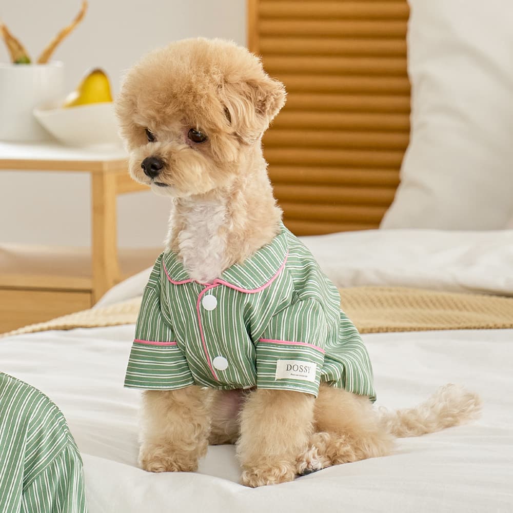 DOSSY 실크핏 웬즈데이 펫 잠옷 반려동물 강아지 고양이 파자마