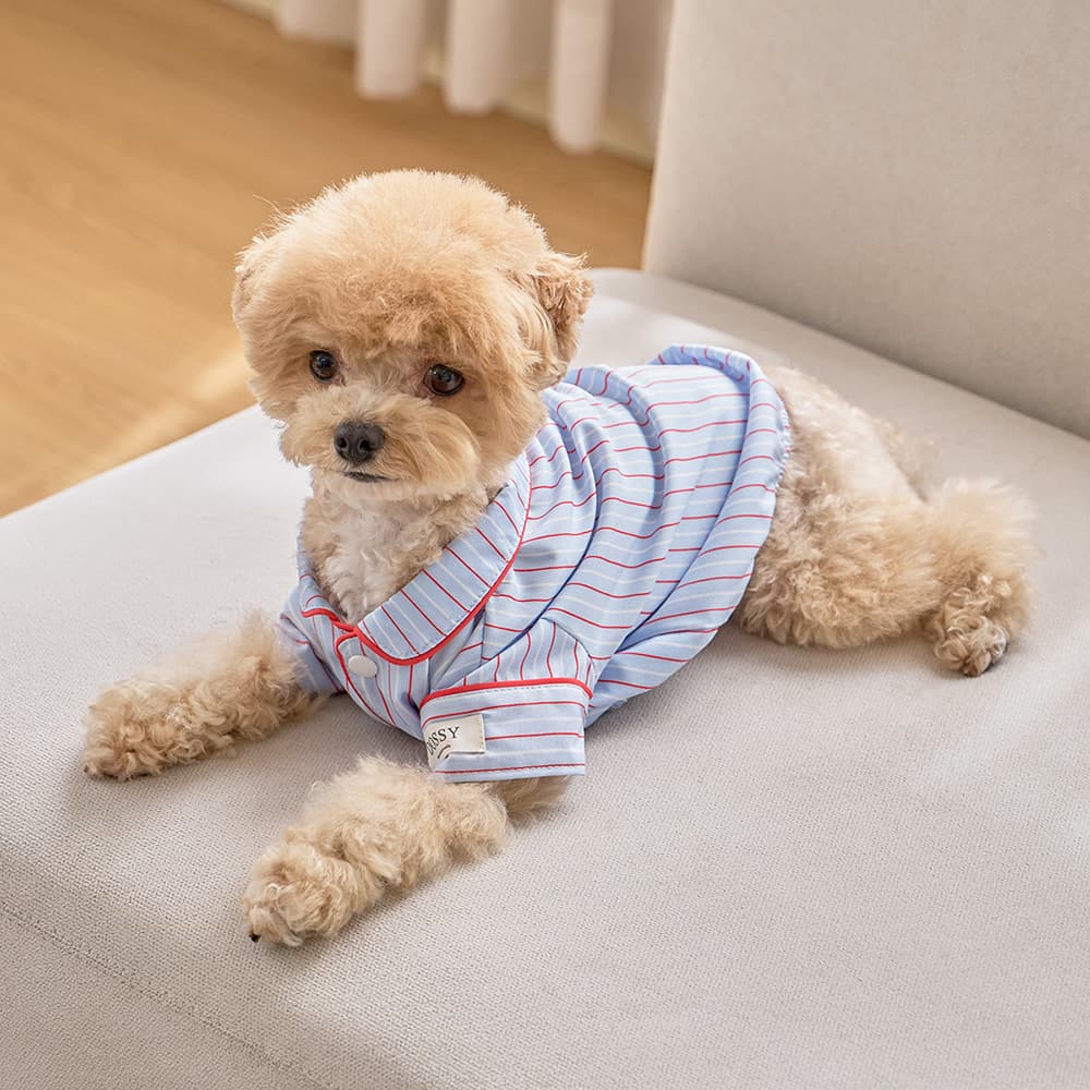 DOSSY 실크핏 클로에 펫 잠옷 반려동물 강아지 고양이 파자마