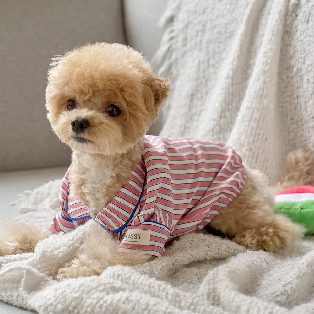 DOSSY 실크핏 피오니 펫 잠옷 반려동물 강아지 고양이 파자마 - 최저가 19,900원
