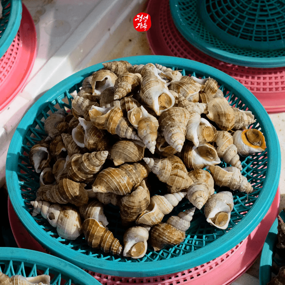 김천농수산 포항 자연산 골뱅이 살고동 2kg - 최저가 21,900원
