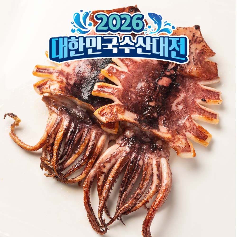 대한민국농수산 국내산 피데기 반건조오징어 10마리