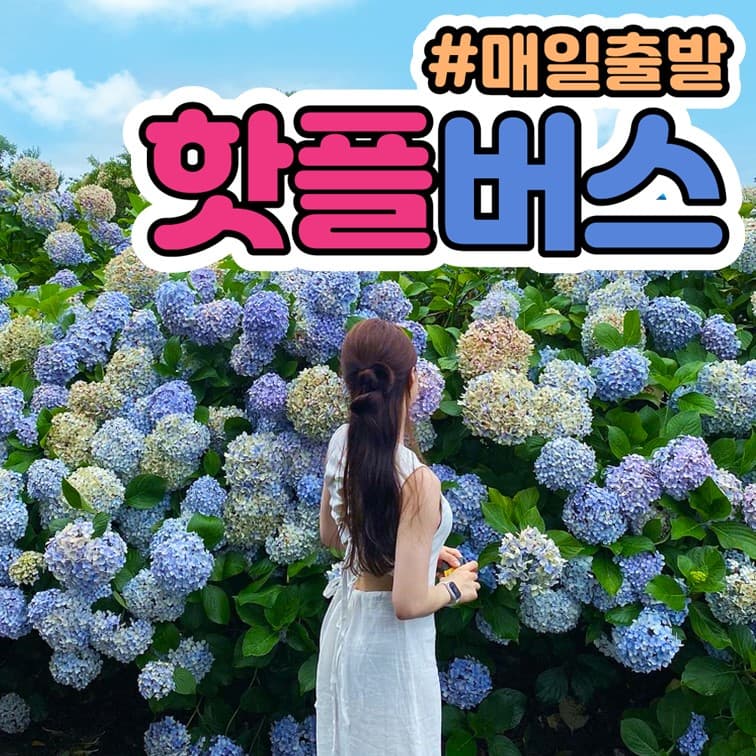 핫플트립 제주도 버스투어 패키지 원데이 택시관광 우도전기차 액티비티 - 최저가 19,800원
