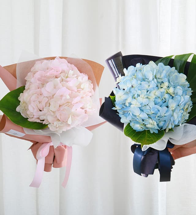 수국꽃다발 핑크 블루 생화 가격 추이 URBAN FLOWER 수국꽃다발 핑크 블루 생화 - 최저가 19,900원
