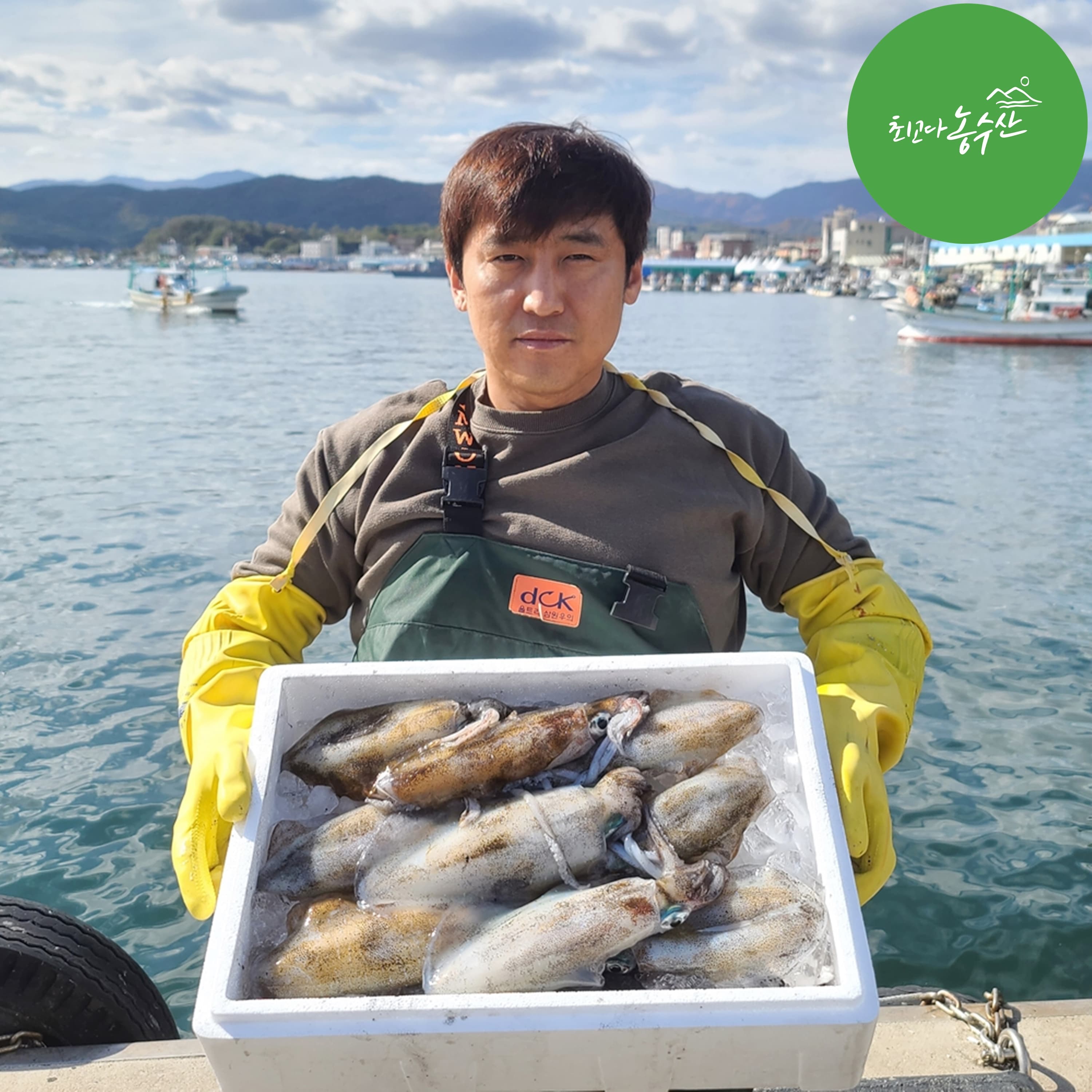 주문진 당일조업 산오징어 냉동 선동 생물 활 초코 오징어회 숙회 무늬 오징어 통찜 가격 비교 최고다농수산 주문진 당일조업 산오징어 냉동 선동 생물 활 초코 오징어회 숙회 무늬 오징어 통찜