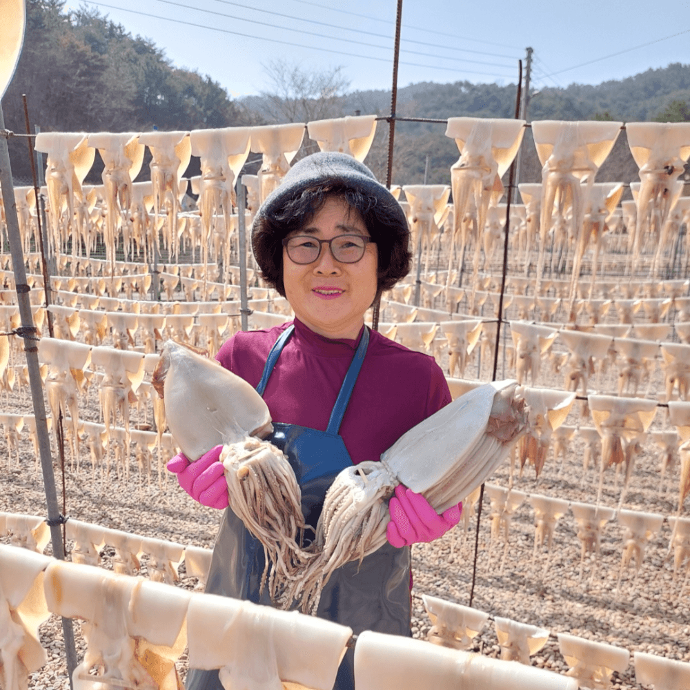 오징어엄마 반건조오징어 마른 피데기 10미 가격 비교 오징어엄마 오징어엄마 반건조오징어 마른 피데기 10미
