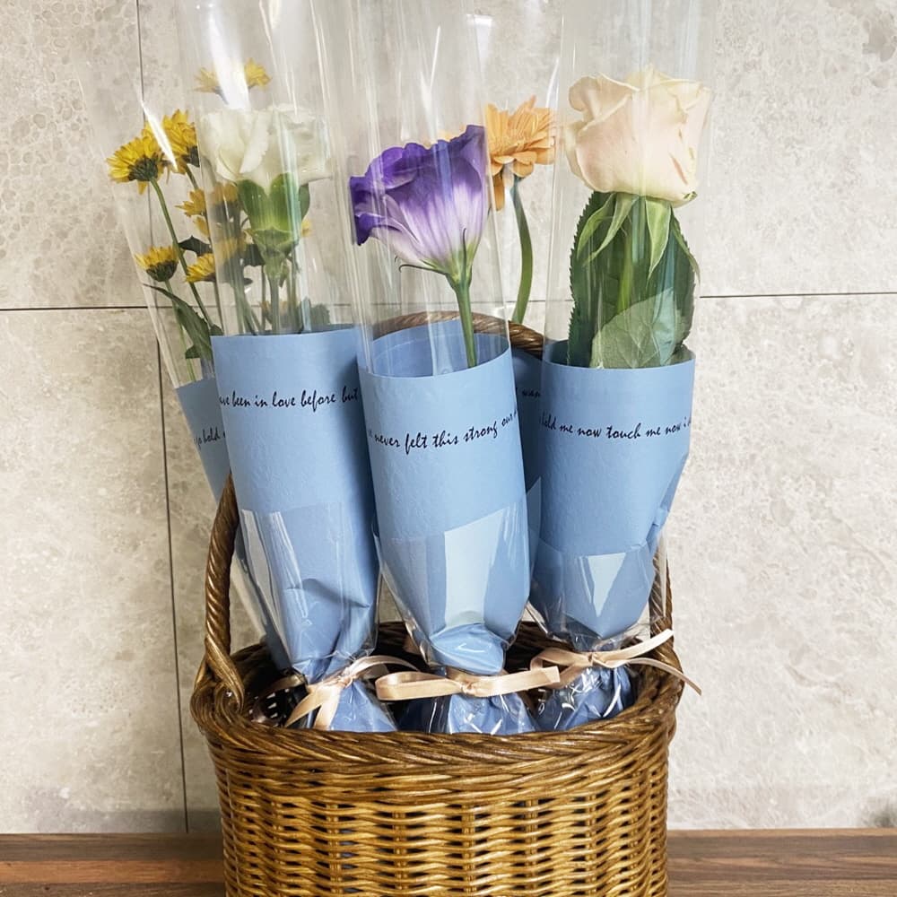 생화 꽃 한송이 카네이션 장미 답례품 선물 가격 비교 오후의 꽃 생화 꽃 한송이 카네이션 장미 답례품 선물