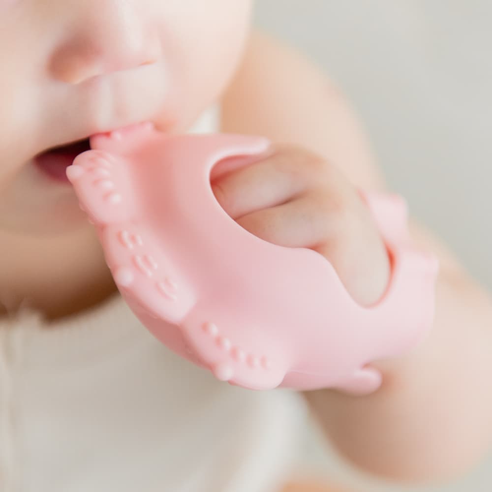 퍼기 냥냥 치발기 프리미엄 실리콘 손목치발기 파스텔핑크 가격 추이 키즈마일 퍼기 냥냥 치발기 프리미엄 실리콘 손목치발기 파스텔핑크 - 최저가 15,900원