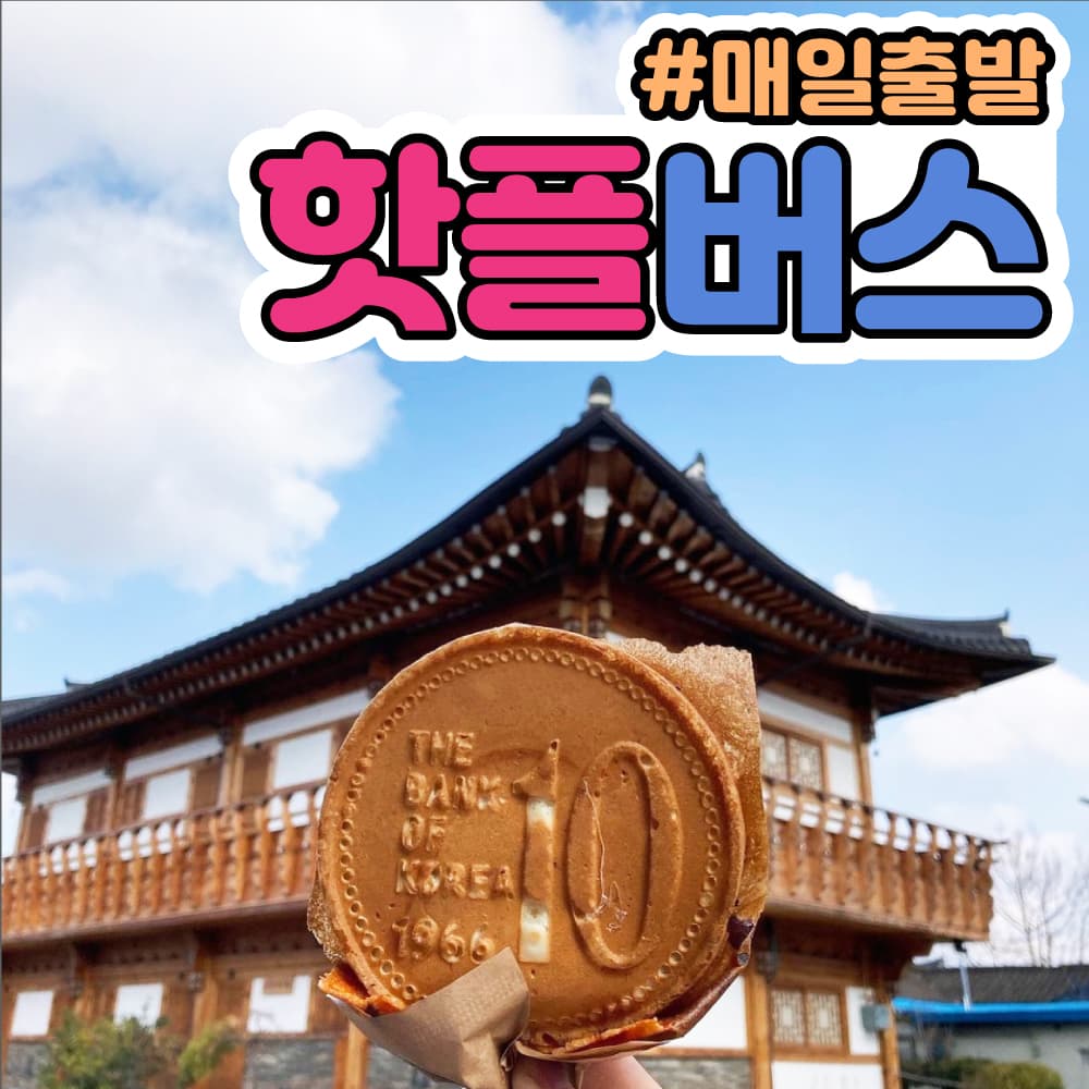 경주버스투어 당일치기 패키지 투어 가격 비교 핫플트립 경주버스투어 당일치기 패키지 투어