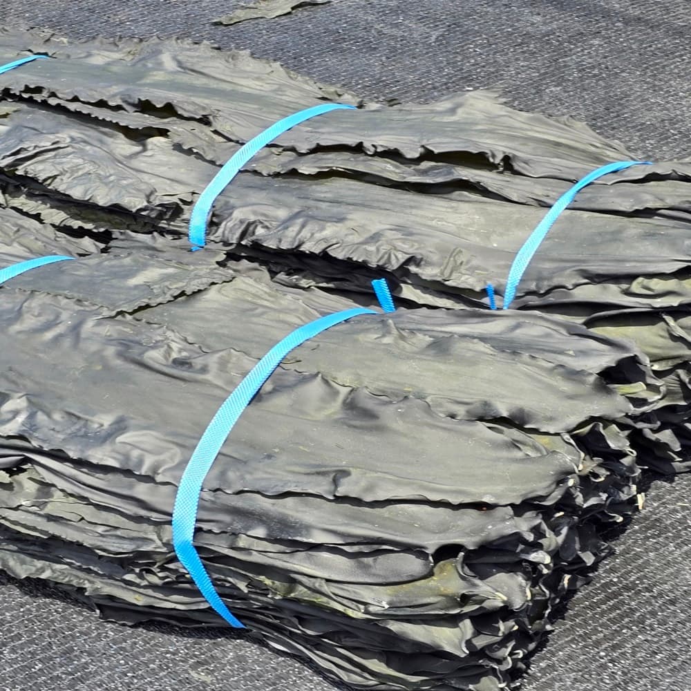 완도 건 다시마 1kg 파지 뿌리다시마 자른 가격 추이 완도총각네수산물 완도 건 다시마 1kg 파지 뿌리다시마 자른 - 최저가 10,500원
