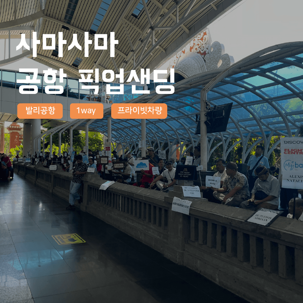 발리 공항 픽업 샌딩 서비스 프라이빗 차량 응우라이 공항 드랍 가격 추이 사마사마 발리 발리 공항 픽업 샌딩 서비스 프라이빗 차량 응우라이 공항 드랍 - 최저가 29,900원