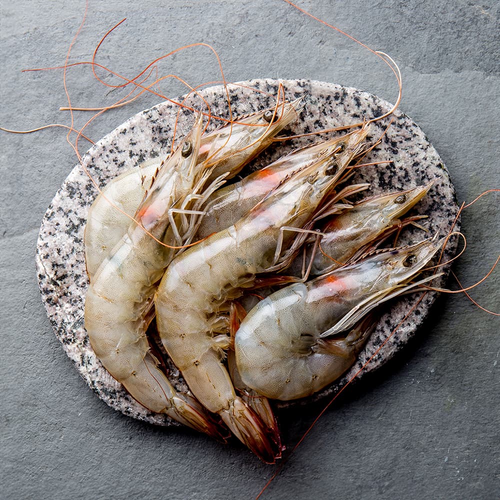 페루새우 2kg 냉동 흰다리새우 에콰도르새우 급냉 대하구이 가격 비교 그램원 페루새우 2kg 냉동 흰다리새우 에콰도르새우 급냉 대하구이